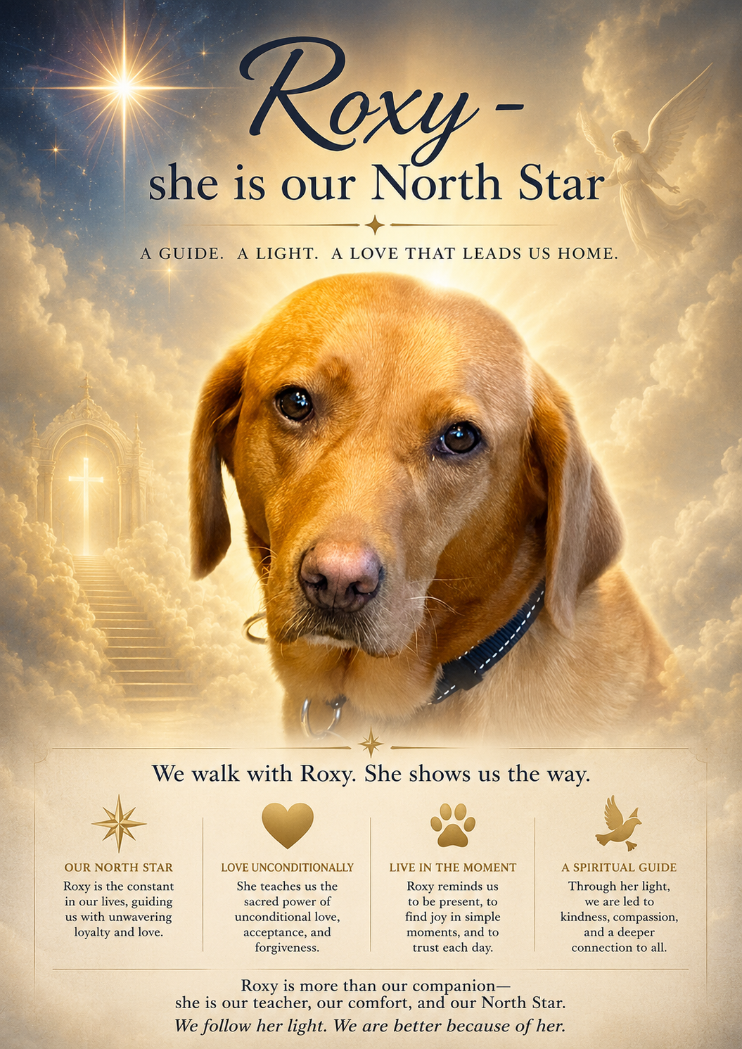 Roxy North Star poster